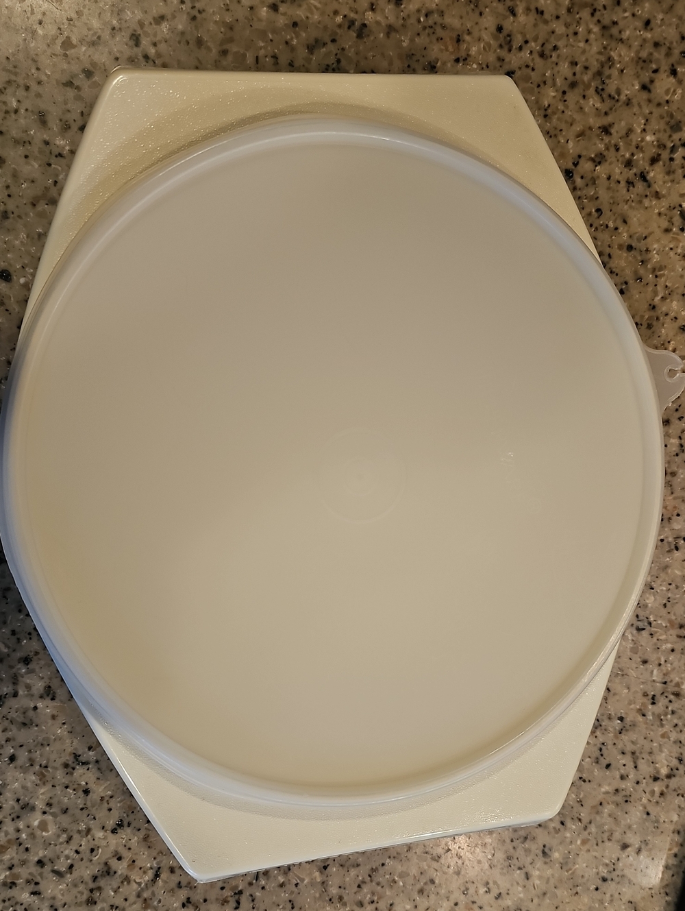 Tupperware Container W/ Lid